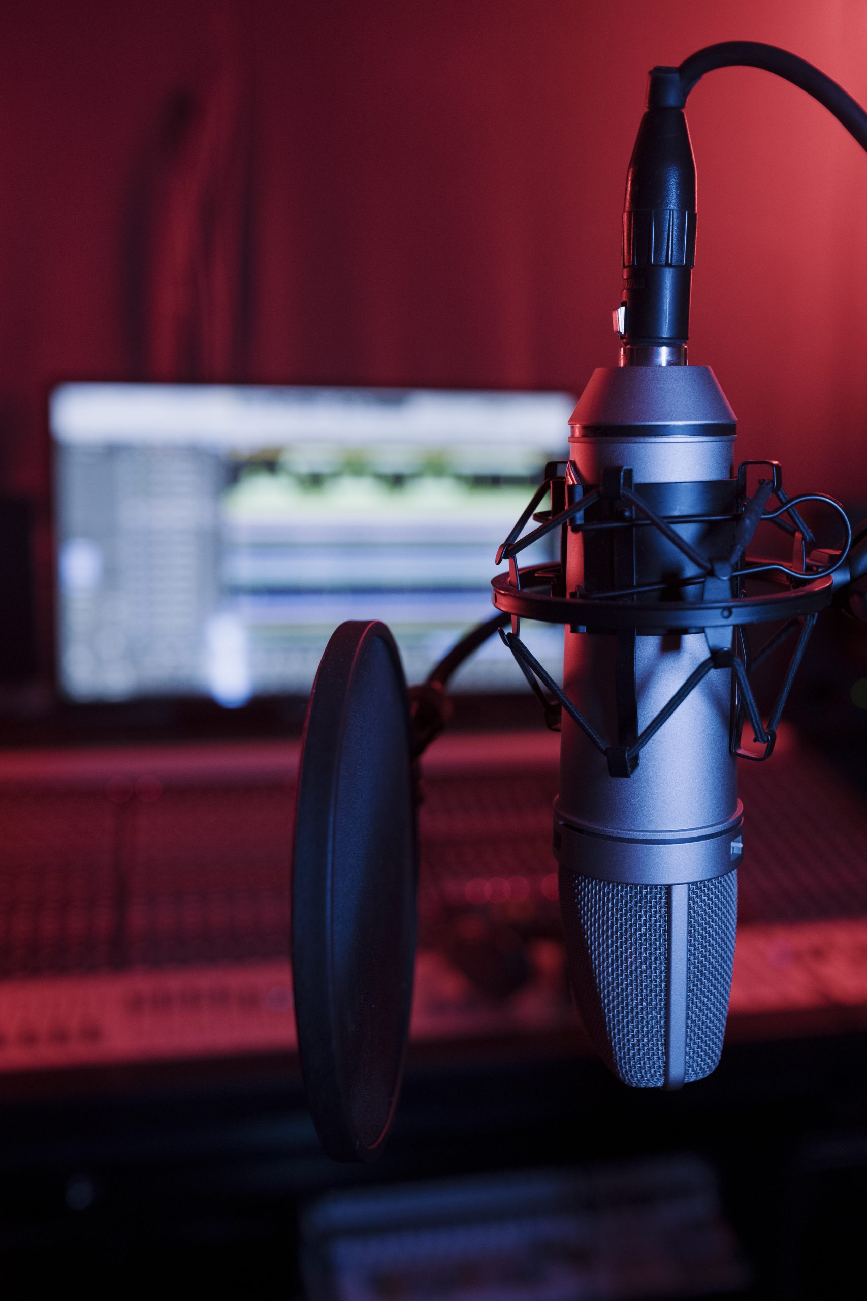 close-up-microphone-pop-filter (1)